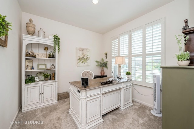 321 Mahogany Dr, Algonquin, IL 60102 - office space with light carpet and baseboards