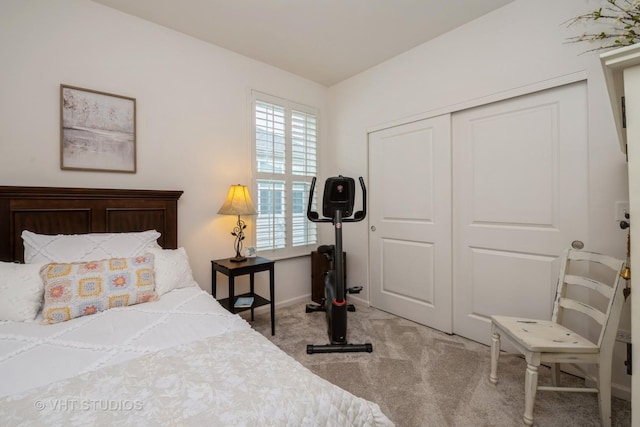 321 Mahogany Dr, Algonquin, IL 60102 - bedroom featuring light carpet and a closet