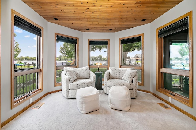 998 N Westshore Blvd, Manteno, IL 60950 - living area with carpet flooring and wood ceiling