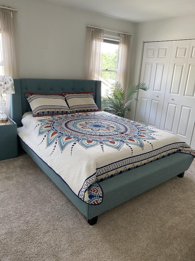 348 Bloomfield Cir, Bloomingdale, IL 60108 - bedroom featuring carpet flooring and a closet
