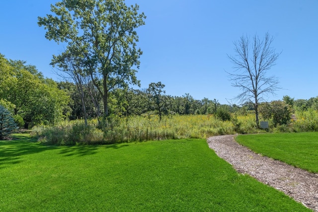 2291 Hybernia Dr, Highland Park, IL 60035 - photo 38