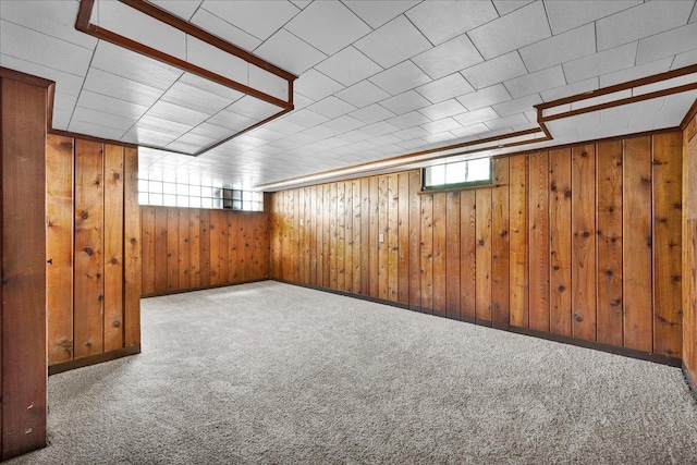 217 S Florence Ave, Bloomington, IL 61701 - below grade area with carpet flooring and wood walls