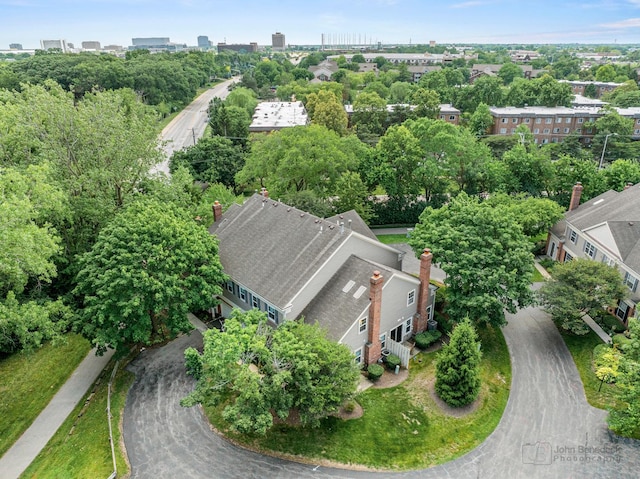 223 New Bridge Ct, Palatine, IL 60067 - drone / aerial view