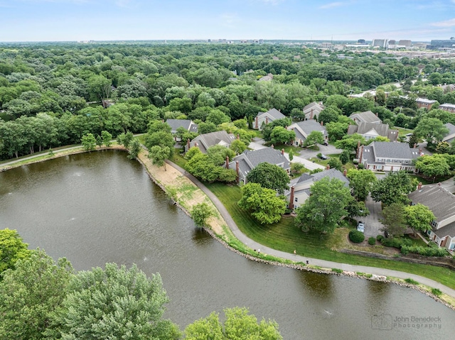223 New Bridge Ct, Palatine, IL 60067 - aerial view of residential area featuring a large body of water