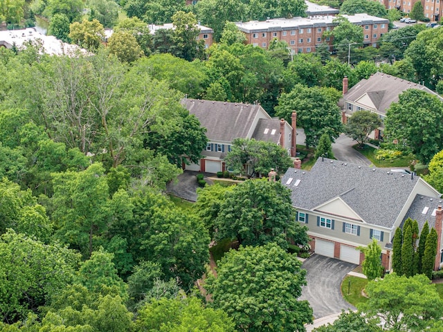 223 New Bridge Ct, Palatine, IL 60067 - drone / aerial view