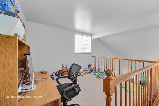 203 E Victoria Cir Unit 203, North Aurora, IL 60542 - photo 16