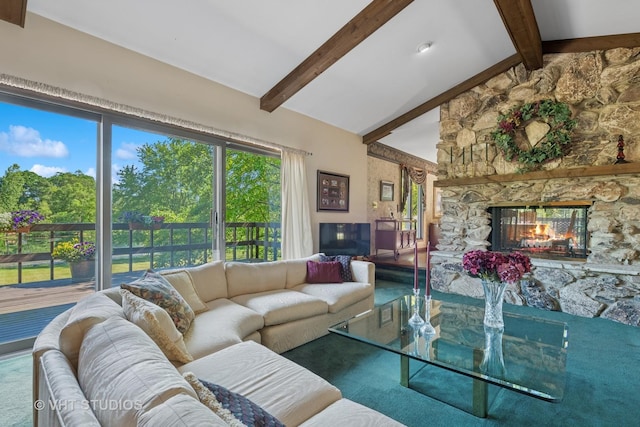 104 Lois Ln, Deer Park, IL 60010 - living room with a fireplace and carpet