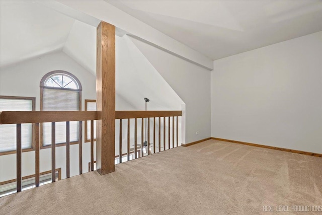 27W414 Melrose Ln, Winfield, IL 60190 - additional living space with carpet and lofted ceiling