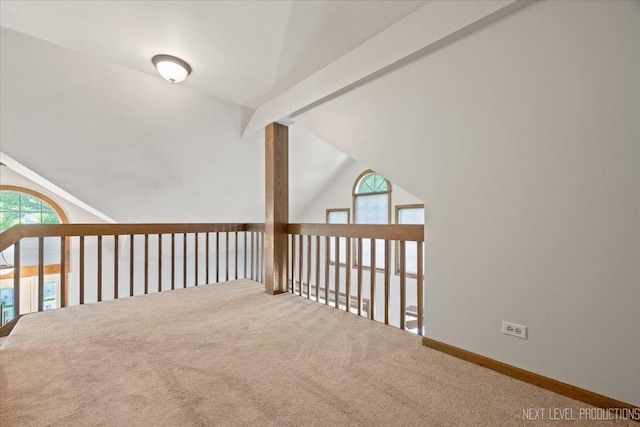 27W414 Melrose Ln, Winfield, IL 60190 - hall with carpet and vaulted ceiling
