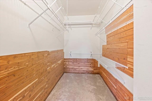 27W414 Melrose Ln, Winfield, IL 60190 - spacious closet with carpet flooring