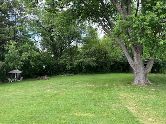 1006 Maple Hill Rd, Bloomington, IL 61705 - view of grassy yard