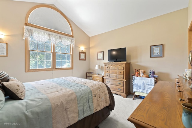 3710 W Nettle Creek Dr, Morris, IL 60450 - bedroom featuring carpet and vaulted ceiling