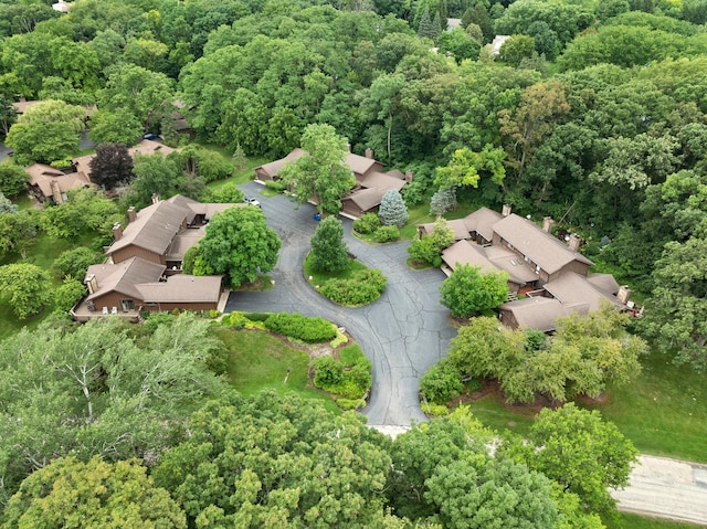 42W396 Hawthorne Ct, Saint Charles, IL 60175 - drone / aerial view of a forest