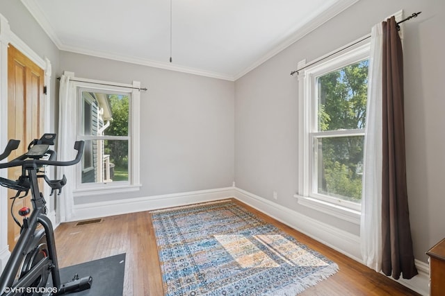 241 Hoy Ave, Woodstock, IL 60098 - exercise room featuring wood finished floors and ornamental molding