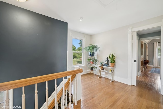 241 Hoy Ave, Woodstock, IL 60098 - hallway with healthy amount of natural light, wood finished floors, and an upstairs landing
