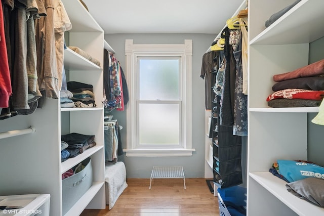241 Hoy Ave, Woodstock, IL 60098 - walk in closet featuring wood-type flooring