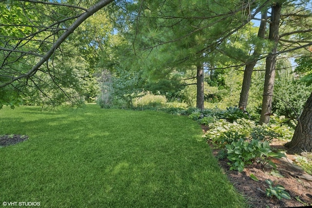 241 Hoy Ave, Woodstock, IL 60098 - view of green lawn
