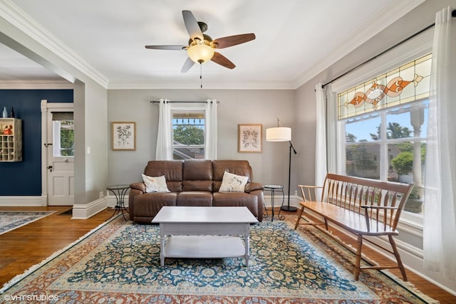 241 Hoy Ave, Woodstock, IL 60098 - living room featuring wood finished floors, a ceiling fan, and crown molding