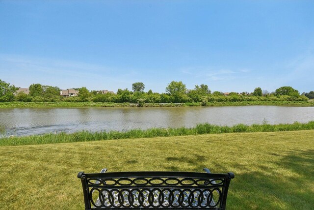 18541 Dearborn Ct, Tinley Park, IL 60477 - photo 27