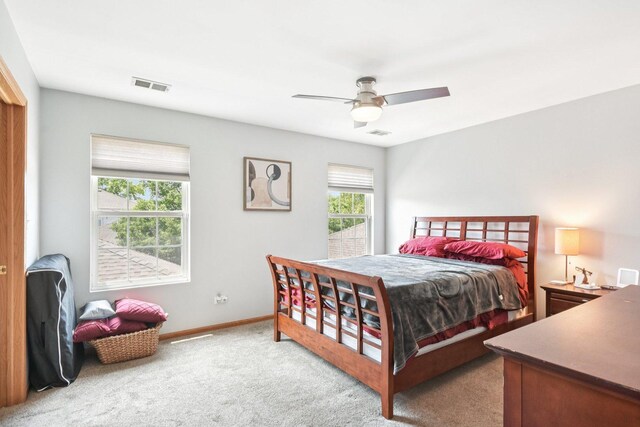18541 Dearborn Ct, Tinley Park, IL 60477 - photo 10