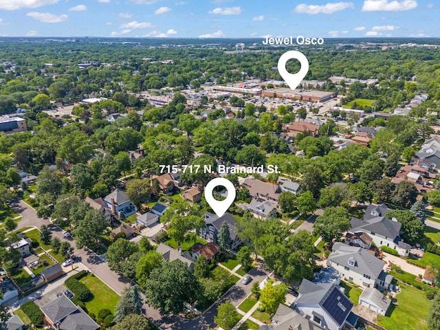 717 N Brainard St, Naperville, IL 60563 - photo 43
