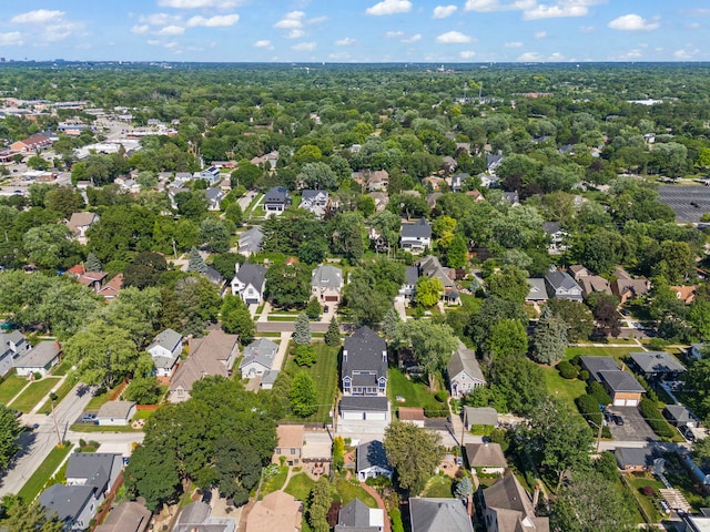 717 N Brainard St, Naperville, IL 60563 - photo 47