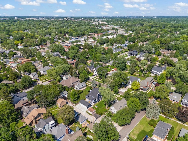 717 N Brainard St, Naperville, IL 60563 - photo 48
