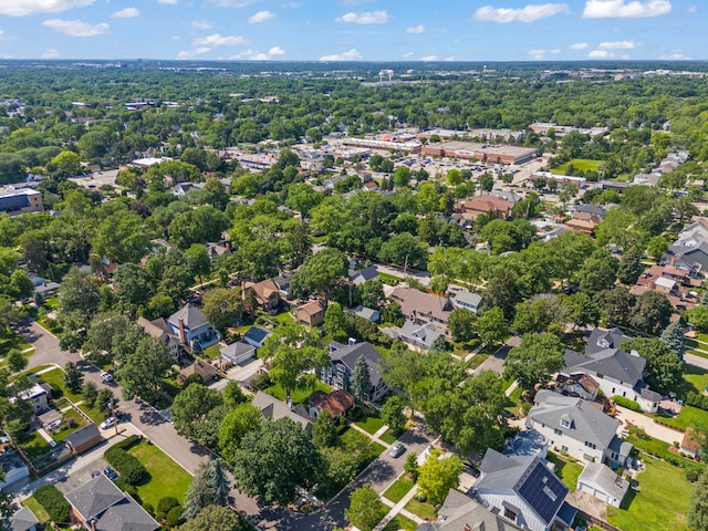 717 N Brainard St, Naperville, IL 60563 - photo 49