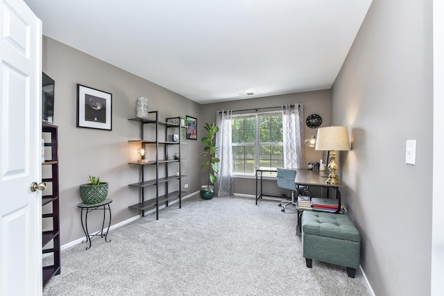30W050 Willow Ln Unit 30W050, Warrenville, IL 60555 - office space featuring carpet and baseboards