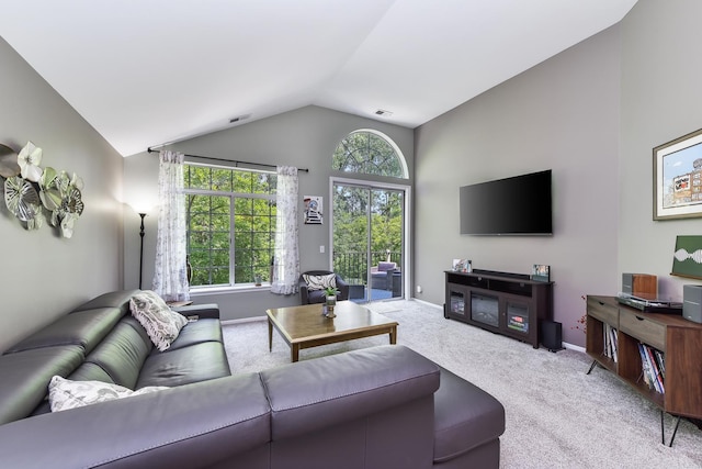30W050 Willow Ln Unit 30W050, Warrenville, IL 60555 - living room featuring carpet and vaulted ceiling