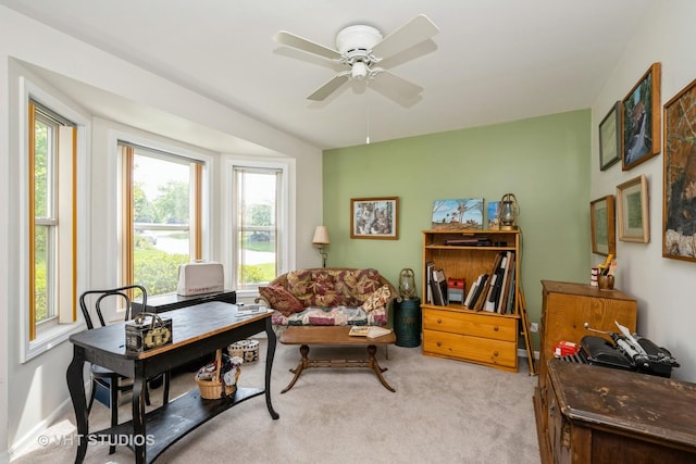 1016 Castleton Ct, Grayslake, IL 60030 - photo 3