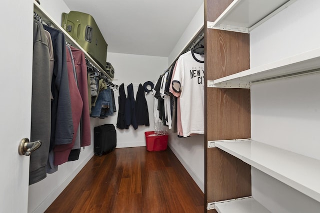 12912 Mill Dr E, Palos Park, IL 60464 - spacious closet featuring wood finished floors