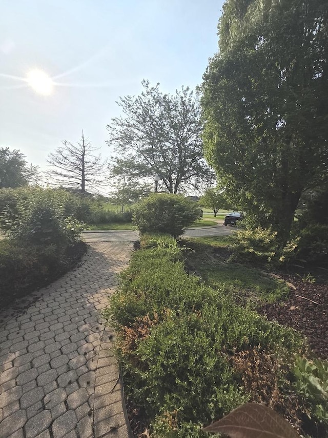 27815 S Stoney Island Ave, Crete, IL 60417 - photo 2