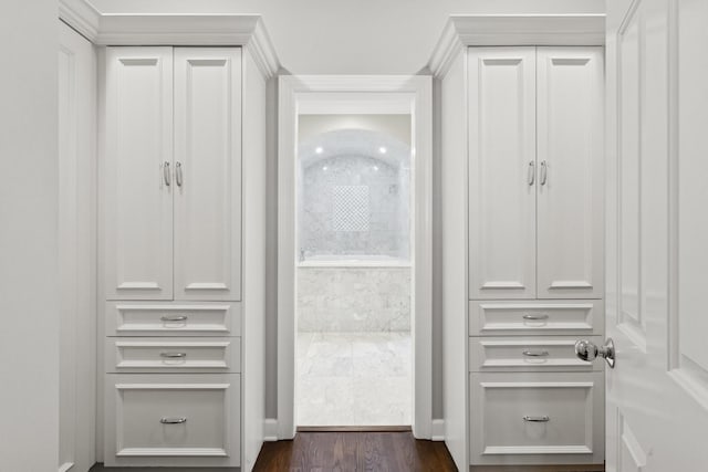 3547 N Fremont St Unit 1N, Chicago, IL 60657 - view of closet