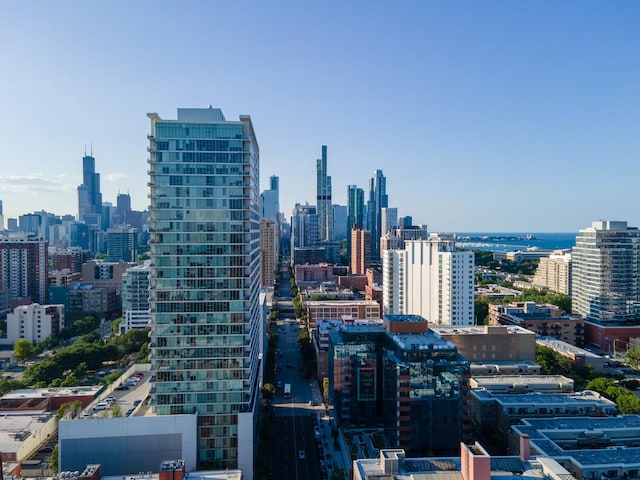 1720 S Michigan Ave Unit 2609, Chicago, IL 60616 - photo 24