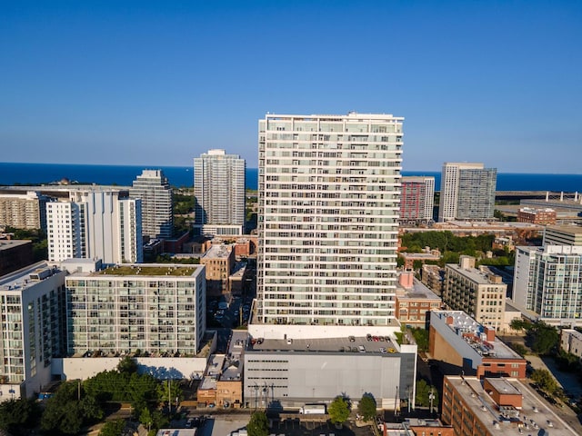 1720 S Michigan Ave Unit 2609, Chicago, IL 60616 - photo 26