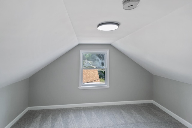2263 S 14th Ave, North Riverside, IL 60546 - additional living space with vaulted ceiling and carpet floors