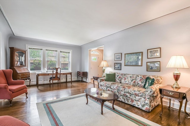 718 S Washington Ave, Park Ridge, IL 60068 - living area featuring a baseboard radiator and wood finished floors