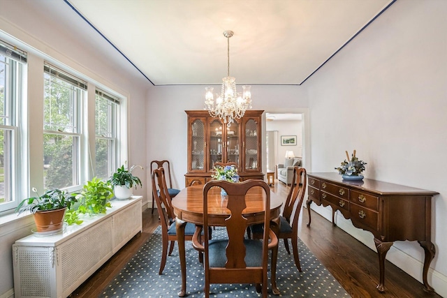 718 S Washington Ave, Park Ridge, IL 60068 - dining area with radiator, dark wood-type flooring, and a chandelier