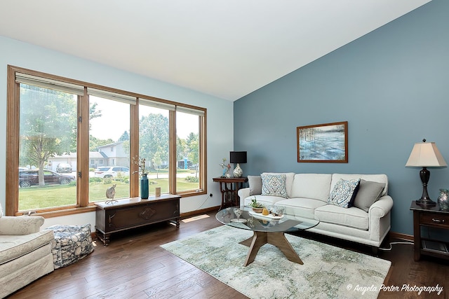 3406 W Bretons Dr, Mchenry, IL 60050 - living room with lofted ceiling, plenty of natural light, and dark wood-type flooring