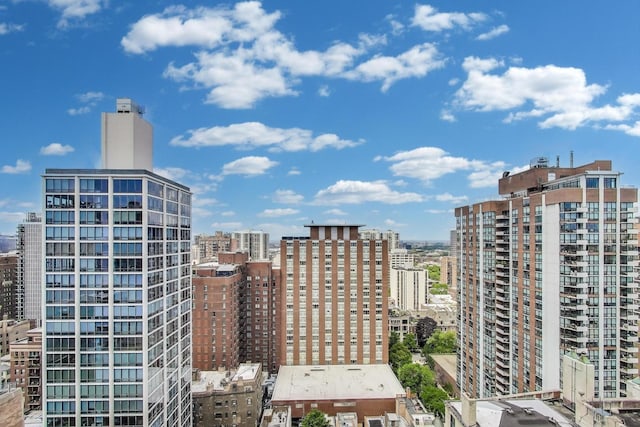 1310 N Ritchie Ct Unit 26B, Chicago, IL 60610 - photo 19