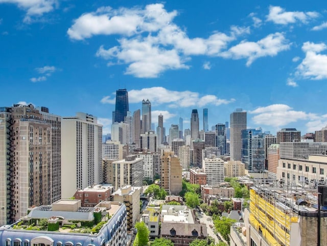 1310 N Ritchie Ct Unit 26B, Chicago, IL 60610 - photo 6