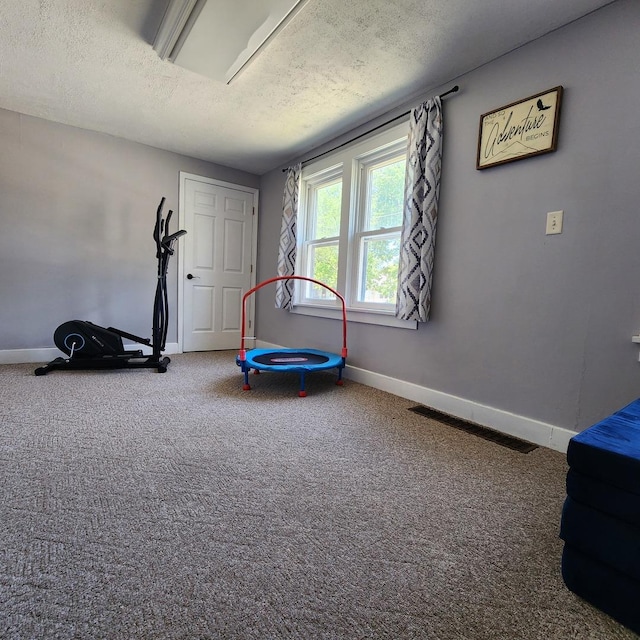 700 W Lafayette St, Ottawa, IL 61350 - exercise area with a textured ceiling and carpet floors
