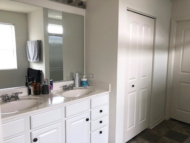 900 Heartland Park Ln, Antioch, IL 60002 - bathroom with double vanity