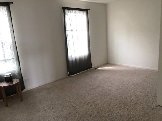 900 Heartland Park Ln, Antioch, IL 60002 - unfurnished room with carpet and baseboards