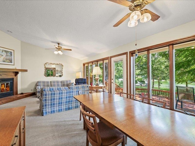 1463 Timber Ln, Camargo, IL 61919 - photo 20