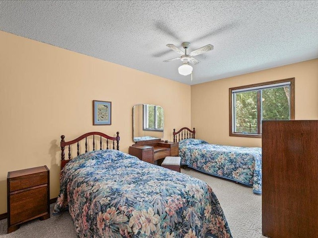 1463 Timber Ln, Camargo, IL 61919 - photo 28