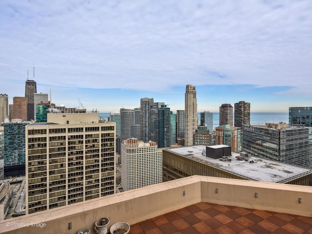 222 N Columbus Dr Unit 4803, Chicago, IL 60601 - skyline view