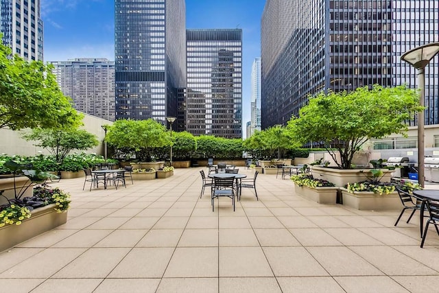 222 N Columbus Dr Unit 4803, Chicago, IL 60601 - view of patio / terrace with a view of skyline and area for grilling
