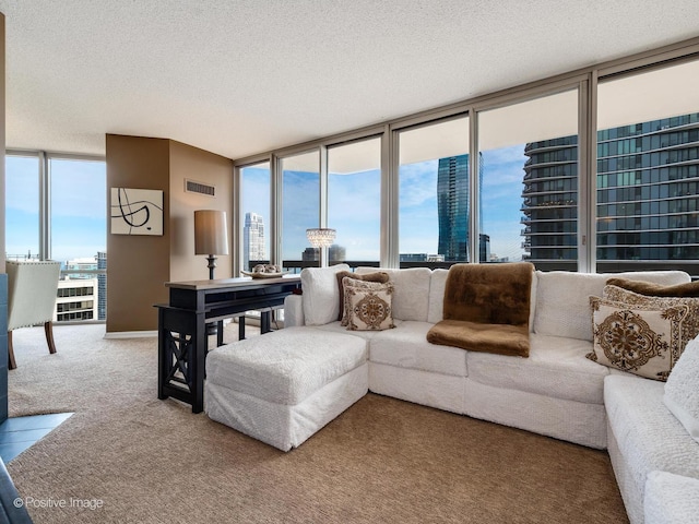 222 N Columbus Dr Unit 4803, Chicago, IL 60601 - carpeted living area featuring expansive windows, healthy amount of natural light, a city view, and a textured ceiling